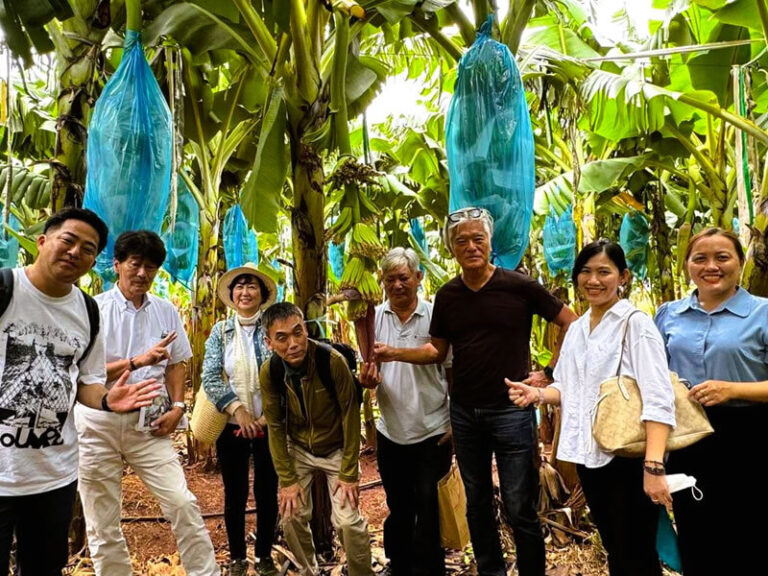 地方の魅力を活かす方々がベトナム・バリア=ブンタウに集まった