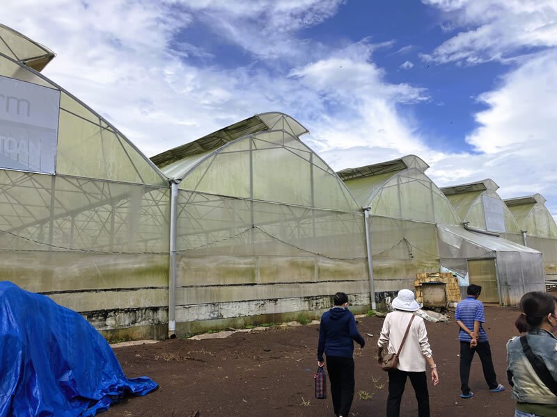 カカオは勿論、果実も野菜も美味しい農作物だらけの幸せな場所